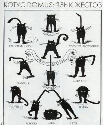 Прикрепленное изображение: 2dd2734f342df454b4f11d3728e.jpg